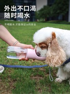 宠物为什么老是爱喝脏水怎么