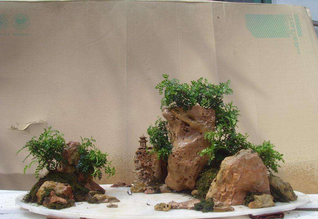 山石盆景如何制作—山石盆景